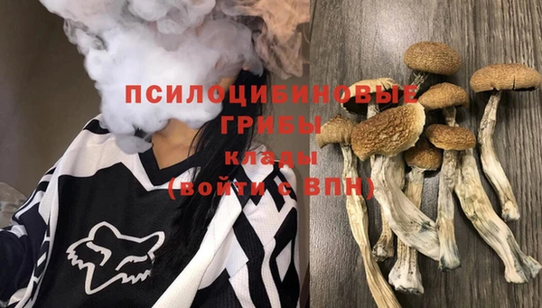 каннабис Алексеевка