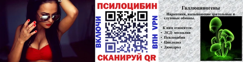 Галлюциногенные грибы Psilocybine cubensis  блэк спрут зеркало  Грязи 