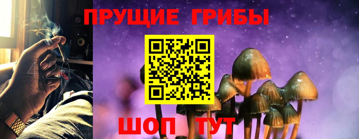 закладки  Псилоцибиновые грибы Psilocybine cubensis  Вход с VPN  Грязи 