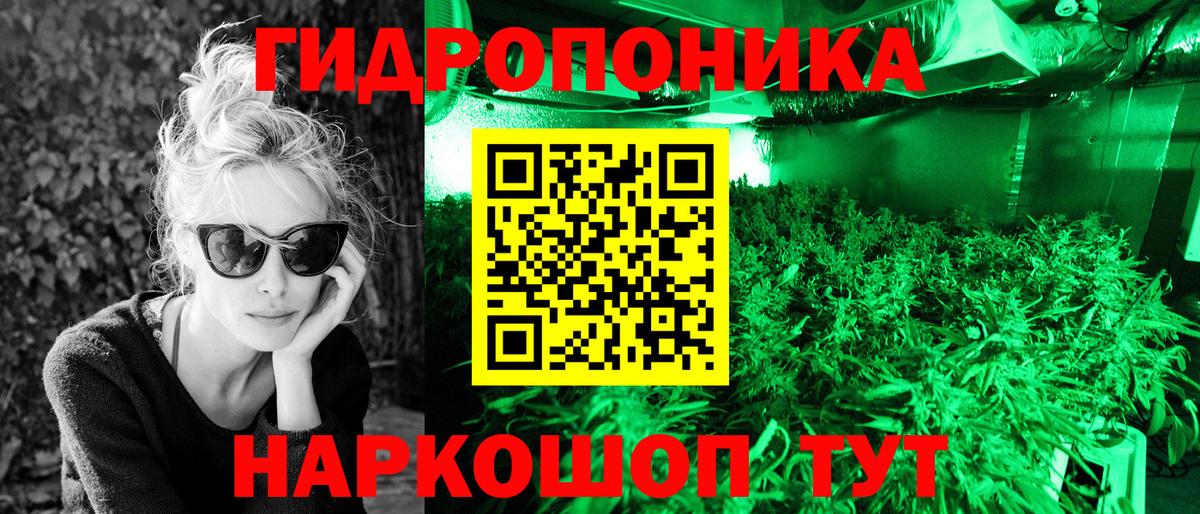 Грязи  Канабис Amnesia  Шишки марихуана конопля  Вход с VPN 